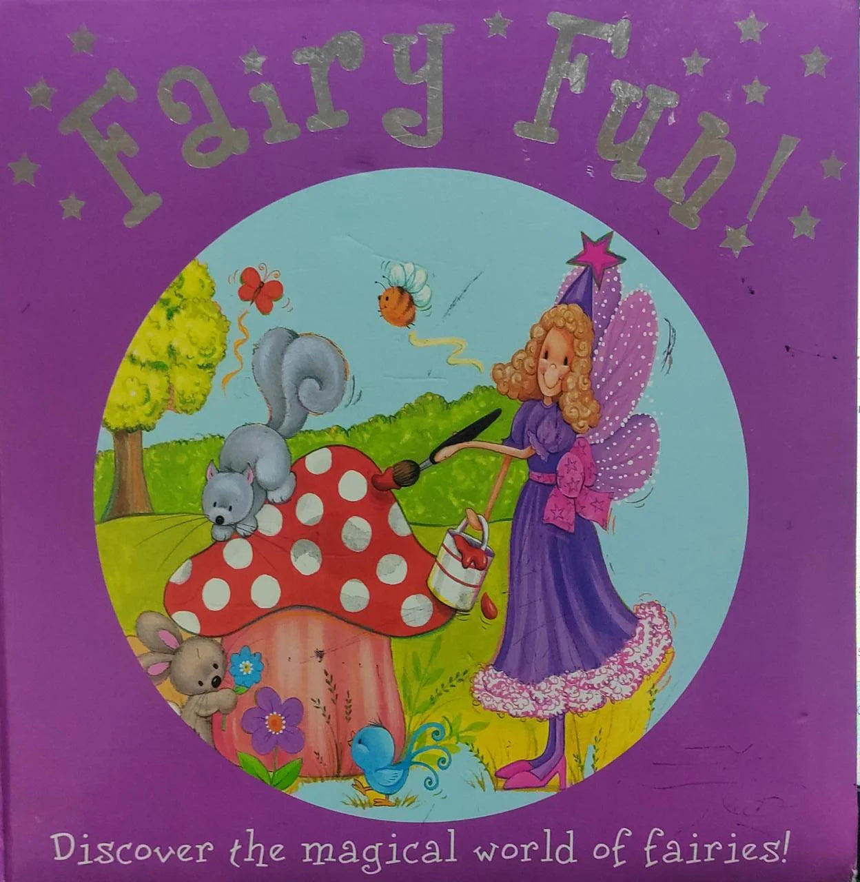 Fairy Fun! Discover The Magical World of Fairies