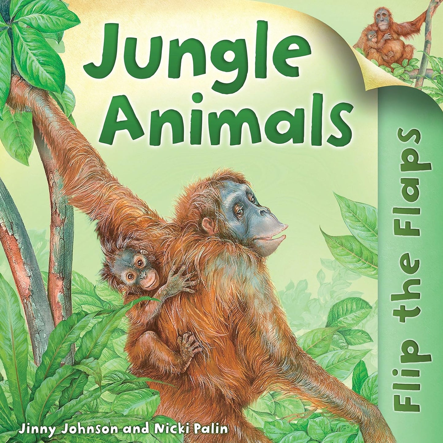 Jungle Animals