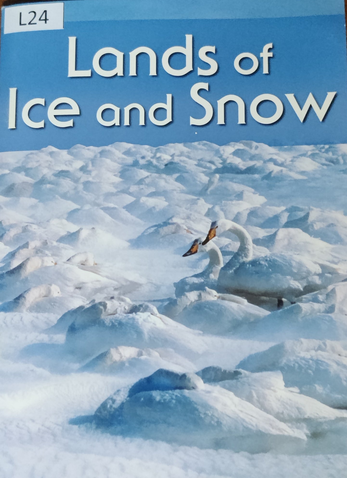 Lands of Ice and Snow