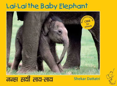 Lai-Lai the baby elephant