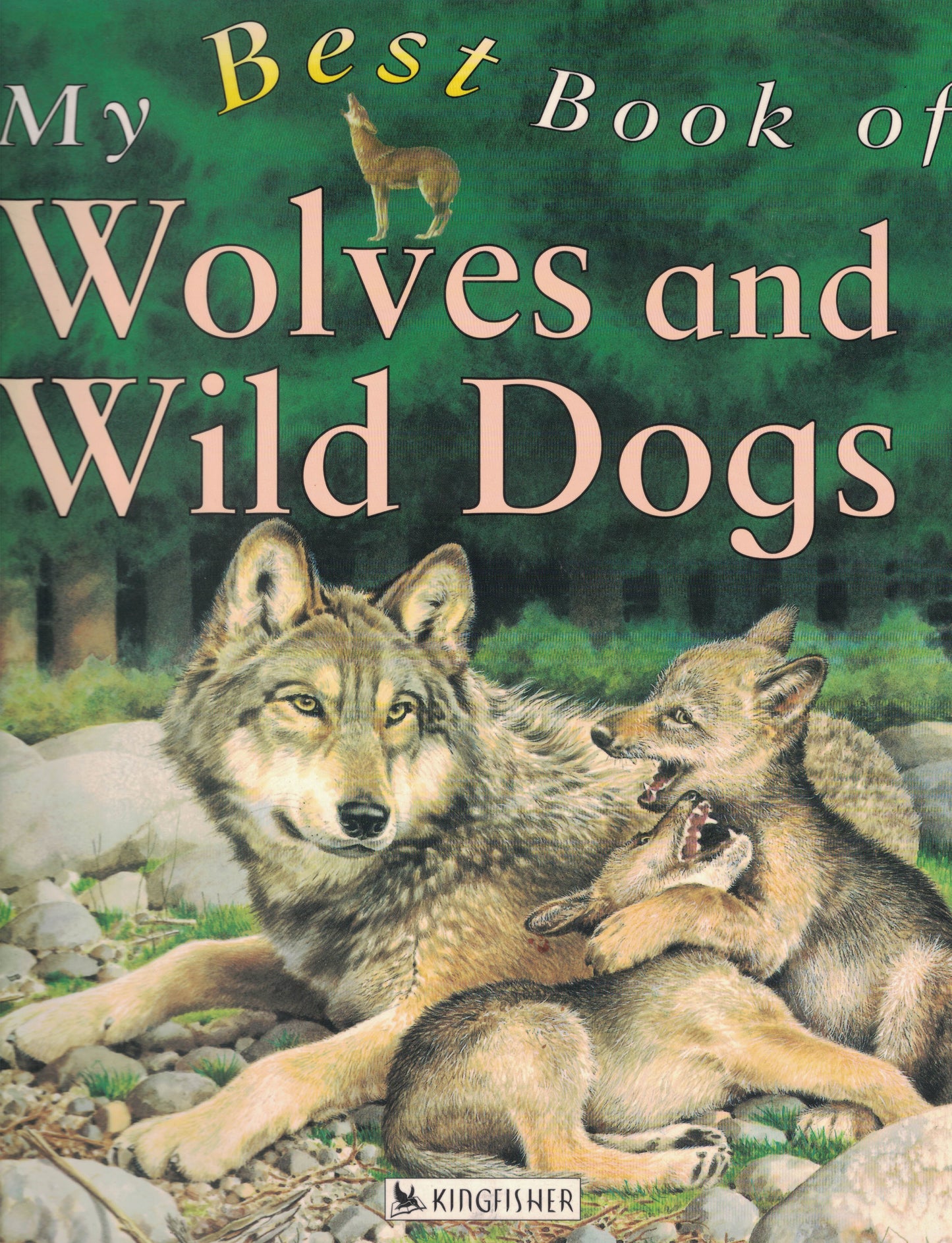 My Best Book of Wolves and Wild Dogs