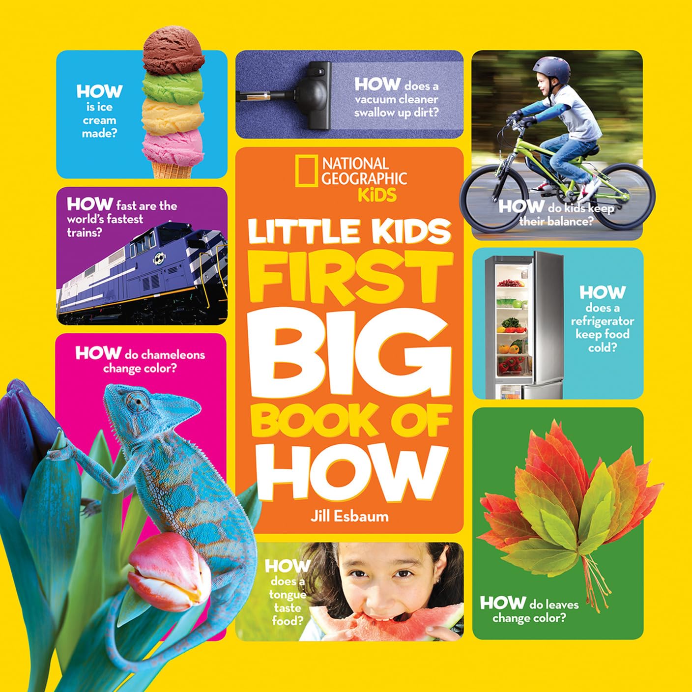 National Geographic Lods: Little Kids First Big Book of How