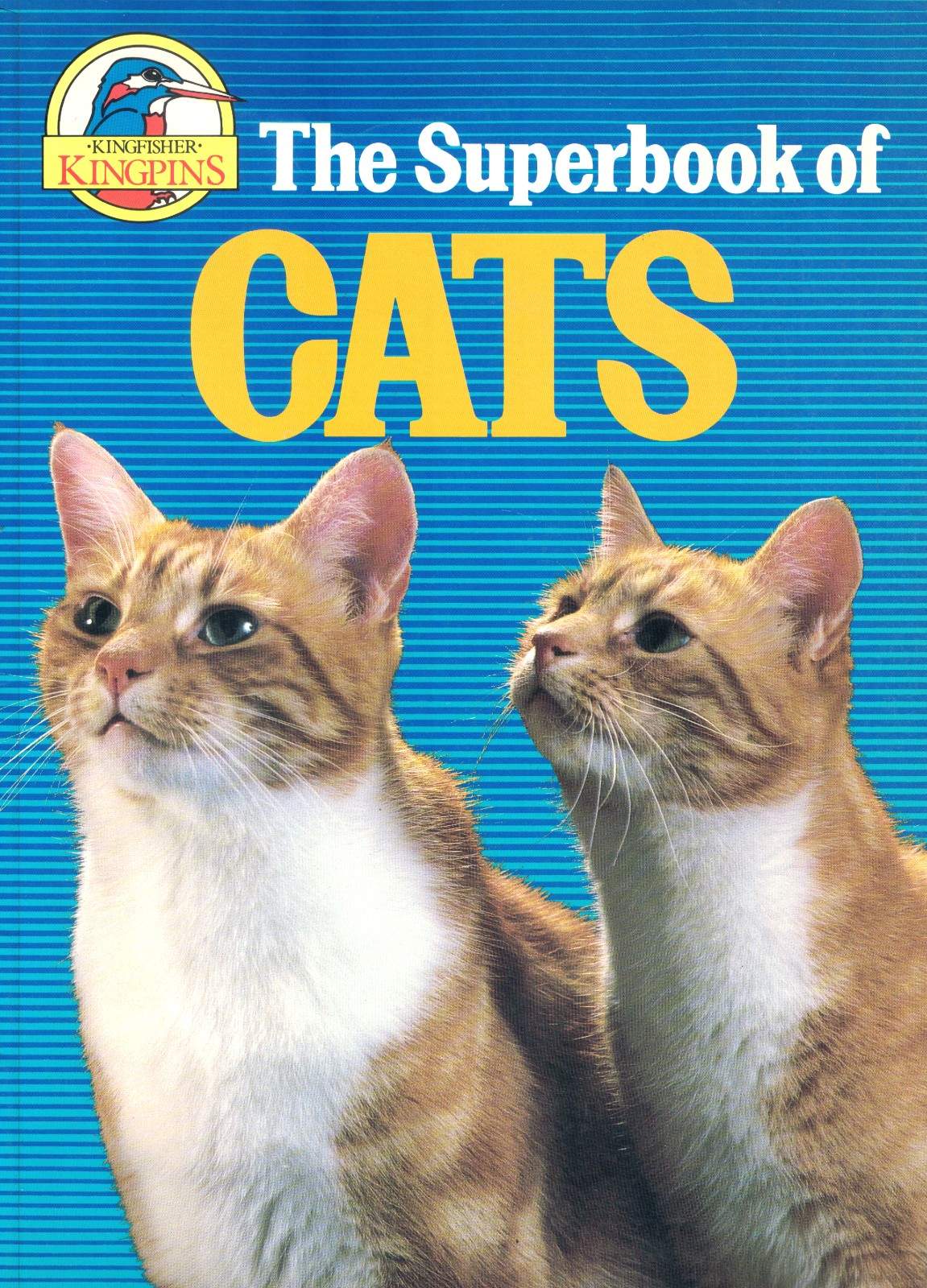 The Superbook of Cats