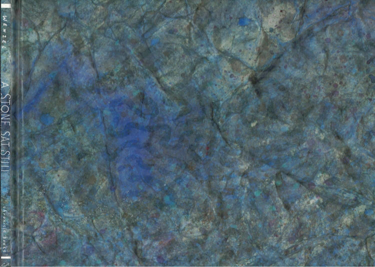 A Stone Sat Still