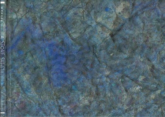 A Stone Sat Still