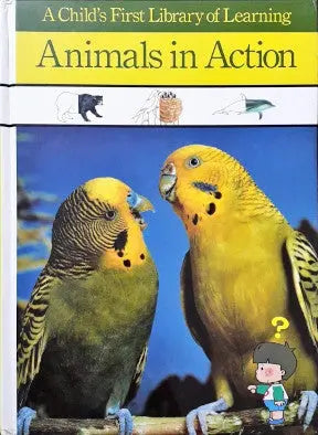 Animals in Action