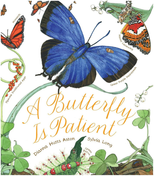 A Butterfly Is Patient