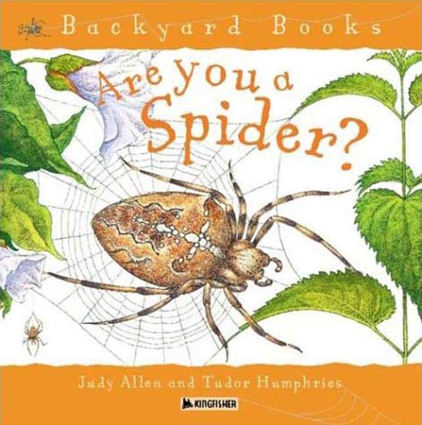 Are You  A Spider?