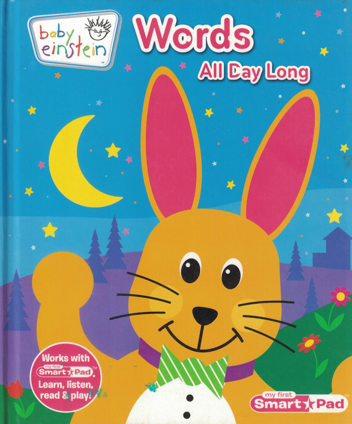 Baby Einstein: Words All Day Long (My First Smart Pad)