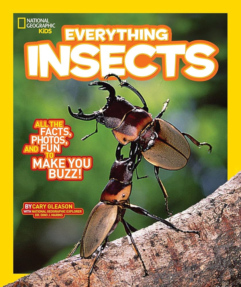 Everything Insects