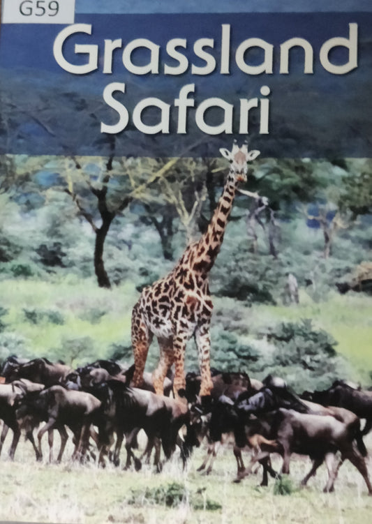 Grassland Safari