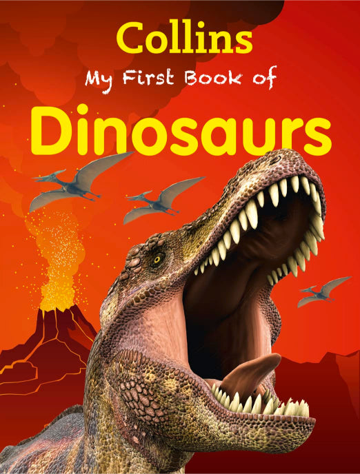 My First Book of Dinosaurs