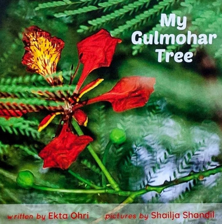 My Gulmohar Tree