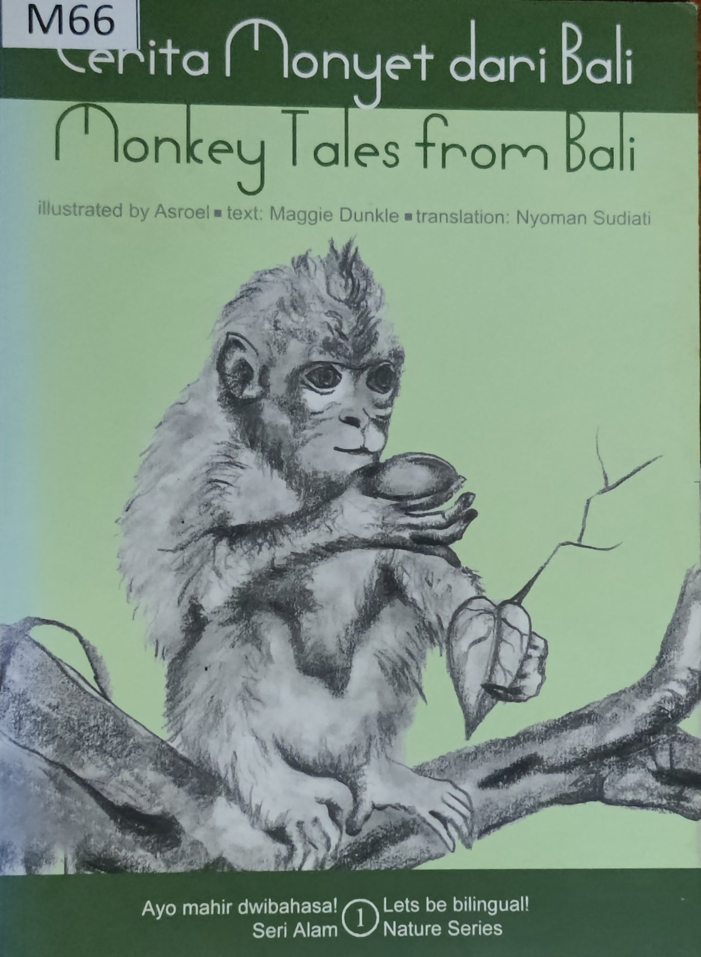 Monkey Tales from Bali