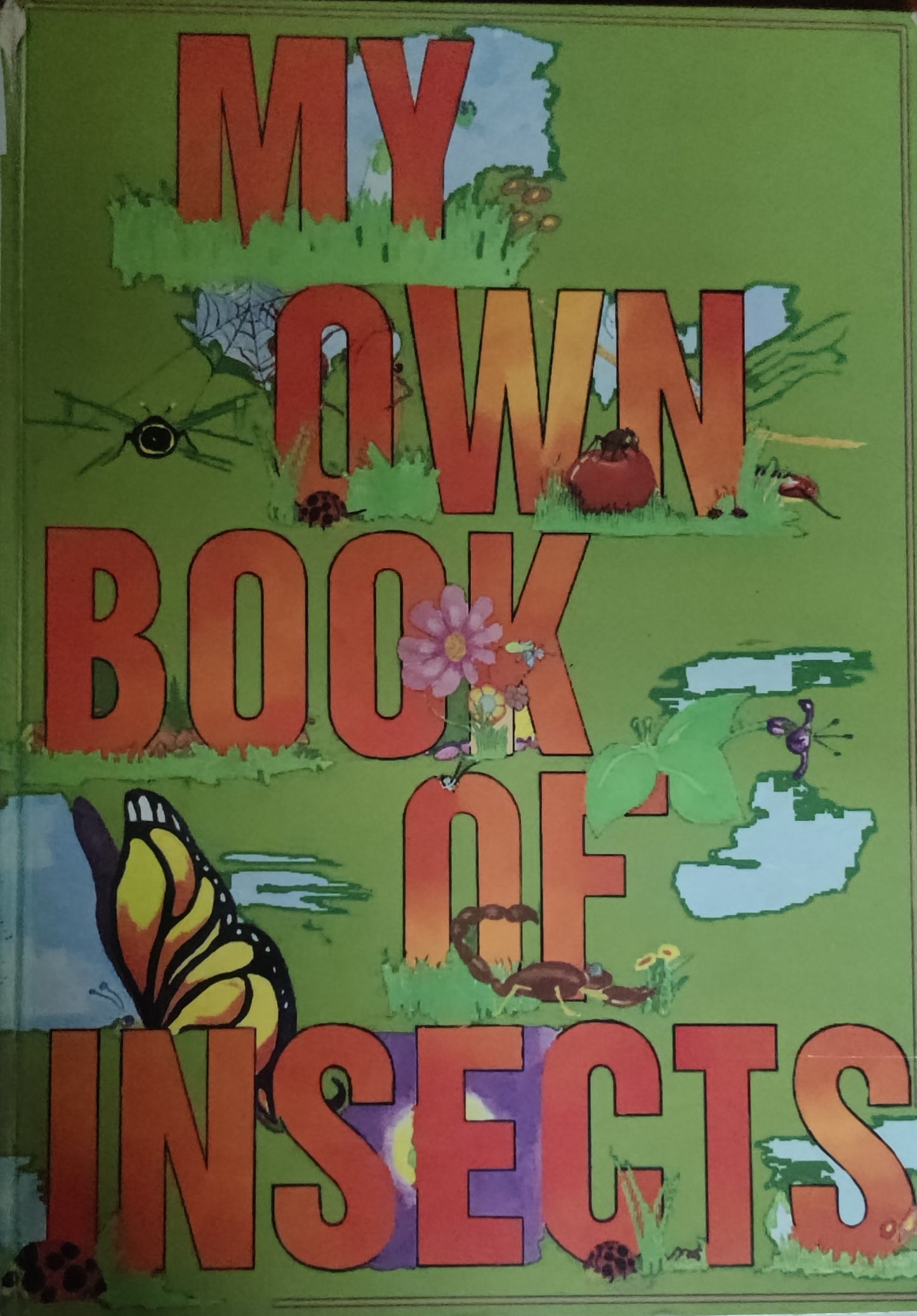 My Own Book of Insects