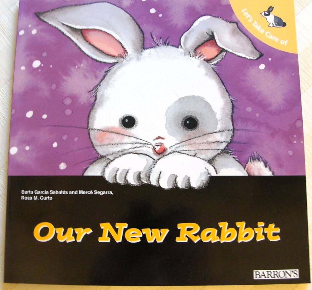 Our New Rabbit