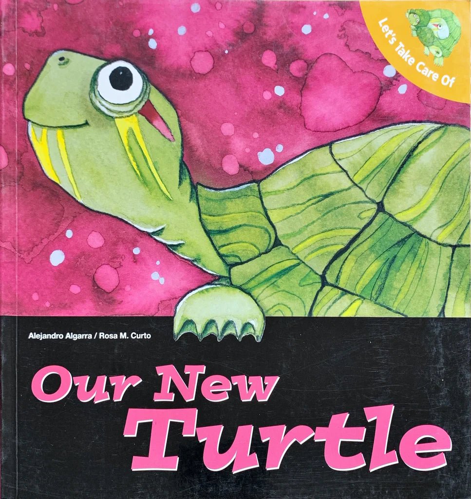 Our New Turtle