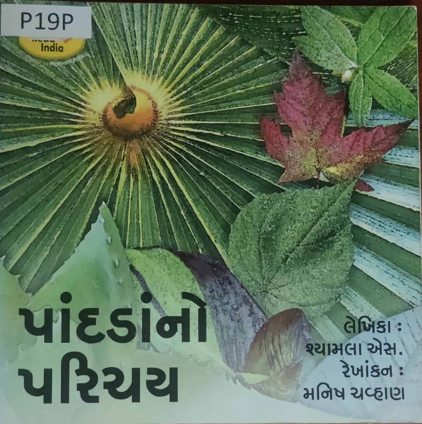 પાંદડાંનો પરિચય (Paandadano Parichay)