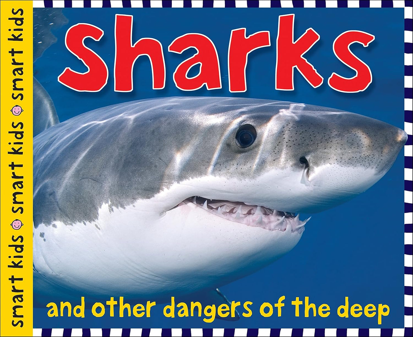 Sharks and Other Dangers of the Deep