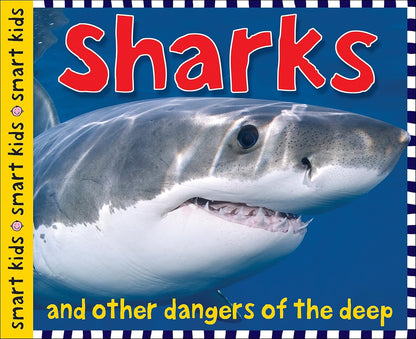 Sharks and Other Dangers of the Deep