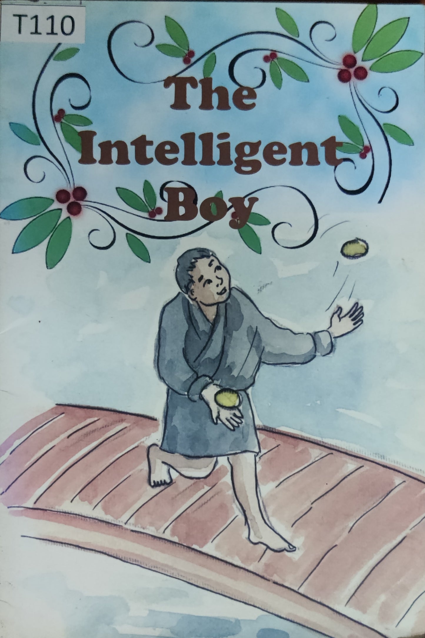 The Intelligent Boy